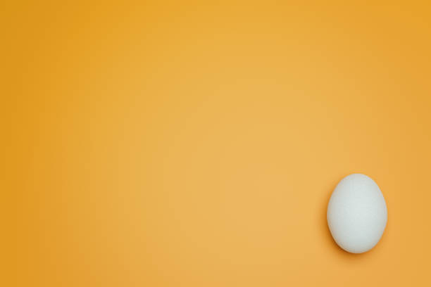istock One white chicken eggs on yellow background top view. Creative food minimalistic background. 1373264640