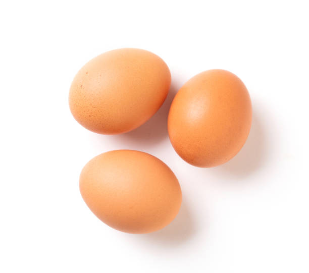 chicken eggs stock photo