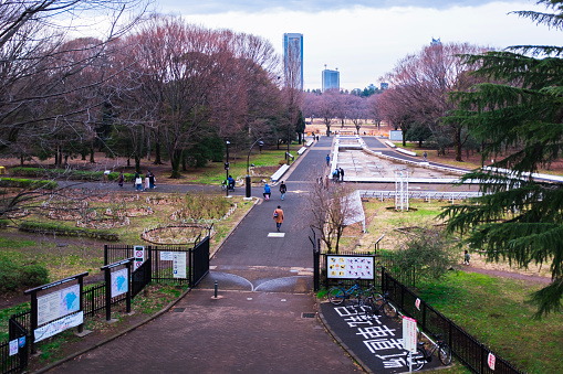 Winter in Yoyogi Park, Tokyo, Japan, the weather is cloudy and cold, the trees in the park are bare, but there are still many people walking and exercising in the park