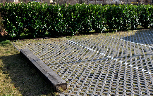 new established street in the city, the longitudinal parking lot is made of gray concrete infiltrating tiles with crevices filled with gravel. measures to limit the outflow of water from road, hedge, prunus, laurocerasus, caucasica, novita