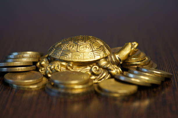 istock Metal turtle with coins on a dark background. 1373267172