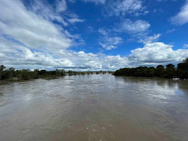 istock Swollen Brisbane River from recent flooding rain 1373269805