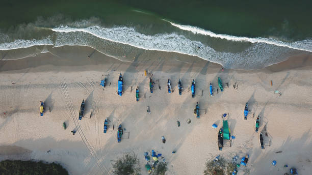 Aerial image of Benaulim beach, South Goa, India stock photo