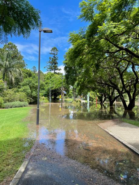 istock Flooded walkway at UQ lakes Brisbane 1373271382