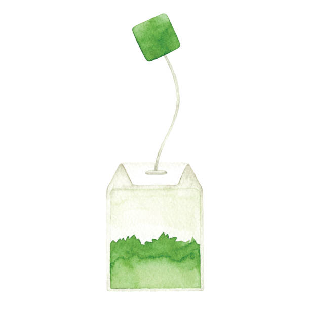 Watercolor Green Tea Bag Watercolor illustration of tea bag. Vector tracing. teabag stock illustrations