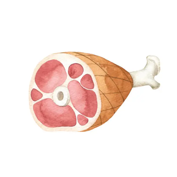 Vector illustration of Watercolor Ham