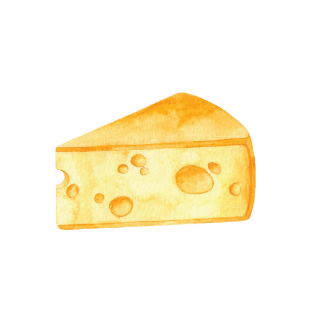 수채화 치즈 - cheese portion emmental cheese yellow stock illustrations