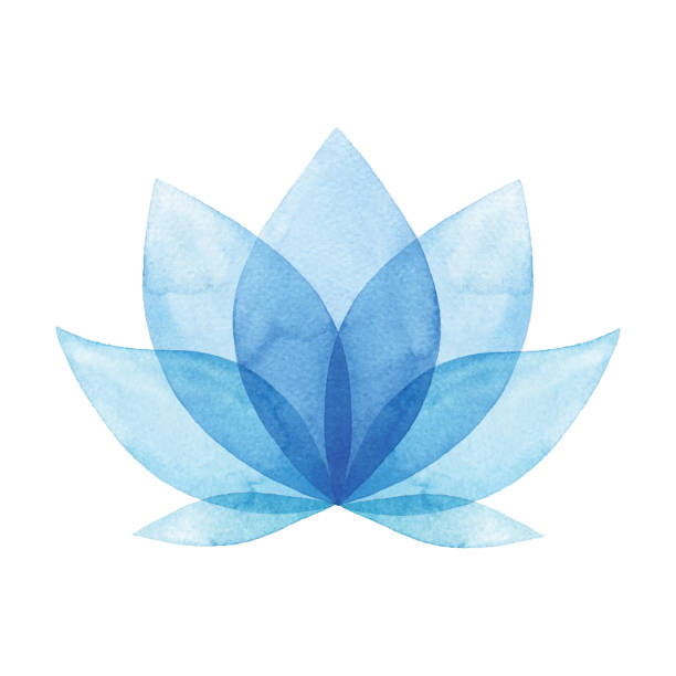 ilustrações de stock, clip art, desenhos animados e ícones de watercolor blue flower - lily pad bloom