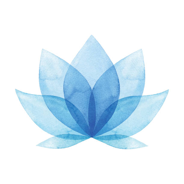 акварель голубой цветок - botany illustration and painting single flower image stock illustrations