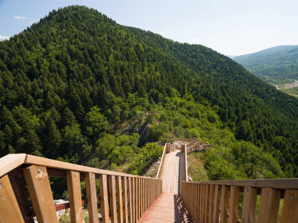 istock Valla canyon walking stairs 1373277436
