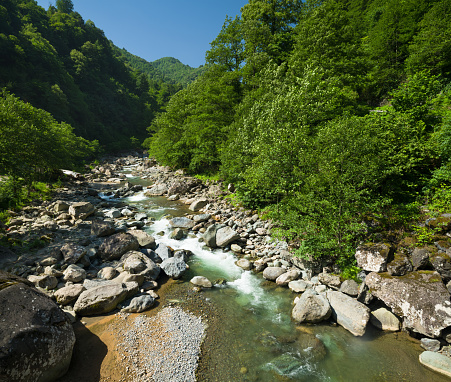 Picturesque view of Radovna River at Vintgar Gorge in Slovenia. The narrow walking path winds around the water and is a popular tourist destination.