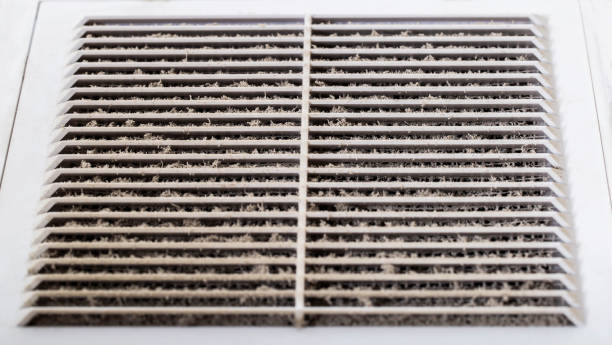 istock Clogging of the exhaust ventilation grille with dust. Microbes, close-up 1373282923