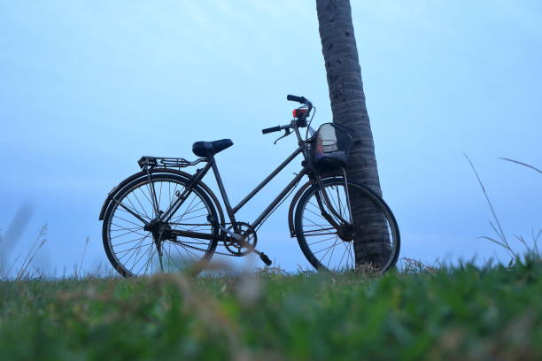 istock Bicycle and sunrise on the sea 1373283310
