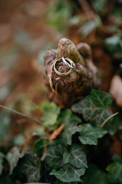 istock They symbolize our lifelong commitment to each other. 1373284737
