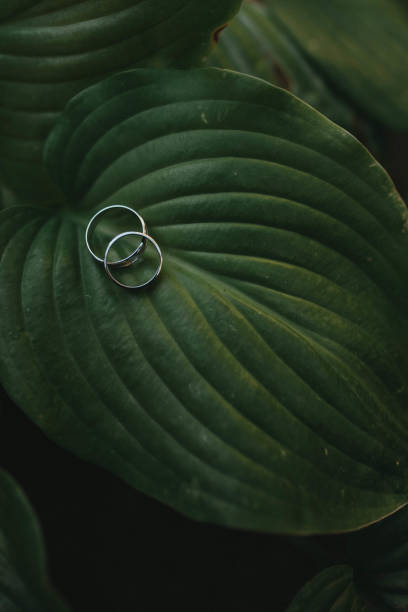 istock They symbolize our lifelong commitment to each other. 1373286138