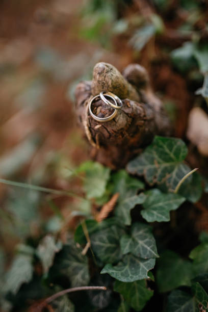 istock They symbolize our lifelong commitment to each other. 1373286258