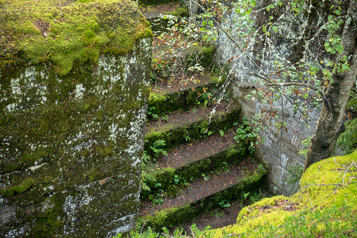 a mossy staircase between the fortifications and the walls of the old fort