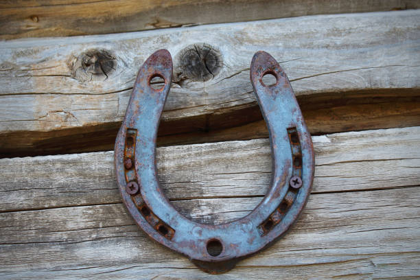 A set of old metal horseshoes displayed on a warm yellow wooden barn interior, including single and clustered pieces nailed or hanging on beams, with aged patina and cobwebs that emphasize rural craftsmanship and folk good‑luck symbolism.