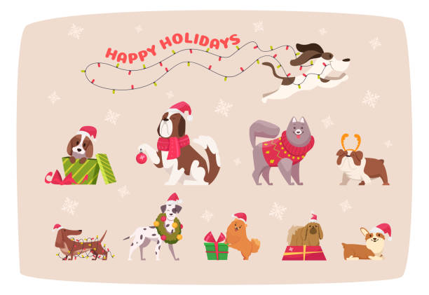 lustige weihnachtshunde. süßer welpe in winterkleidung tiere in schal und pullover exakte vektor cartoon illustration set - christmas dachshund dog pets stock-grafiken, -clipart, -cartoons und -symbole