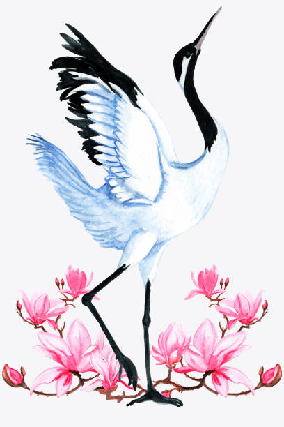 ilustrações, clipart, desenhos animados e ícones de aves asiáticas de aquarela em flores. colorido com flores, pássaro japonês.  ornamento tradicional da moda popular no fundo branco. - flower china frame chinese culture