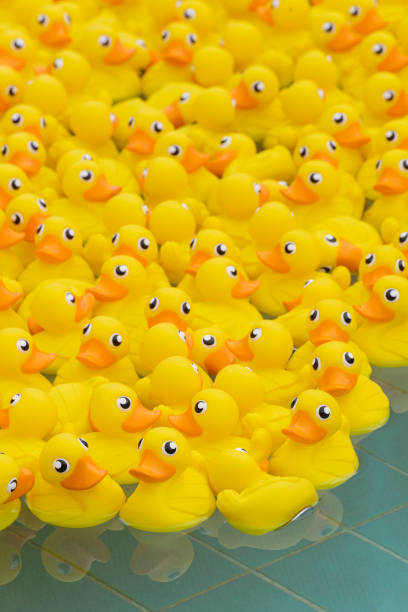 istock yellow toy duck floating in the pool 1373296907