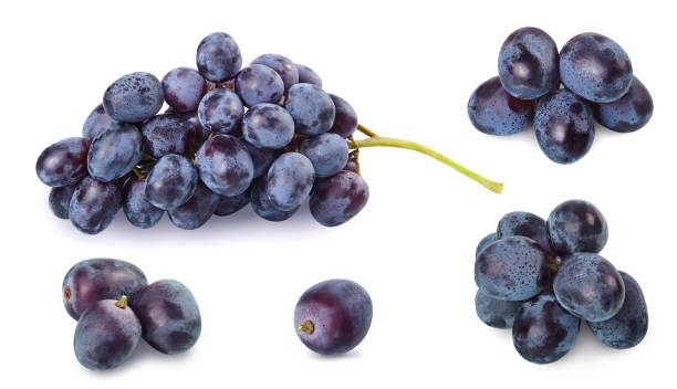 букет из виноград - красный виноград стоковые фото и изображения
