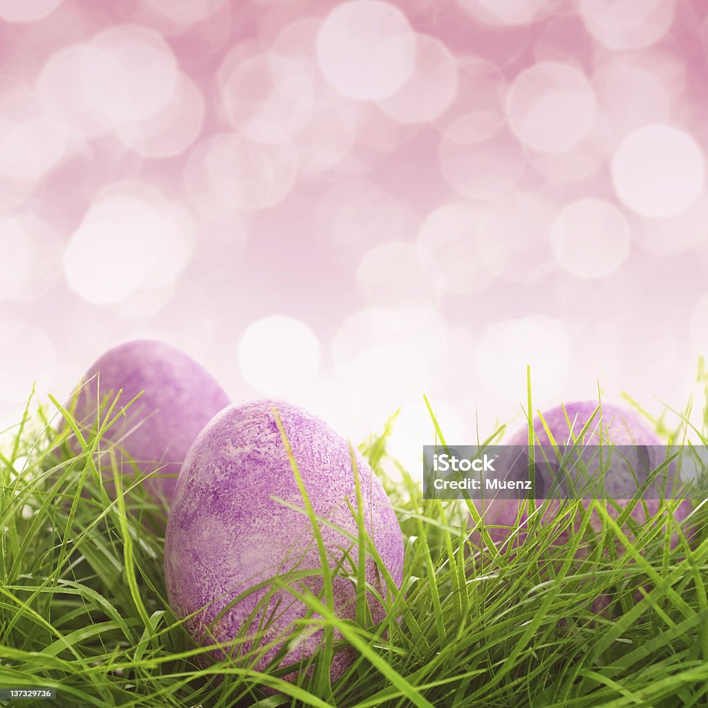 Huevos en el césped - Foto de stock de Abril libre de derechos