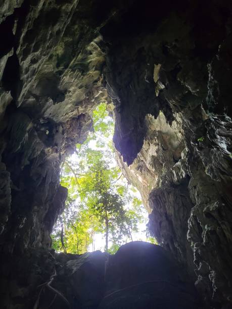 istock Forest view from Gua Pagar in Dabong. 1373299302