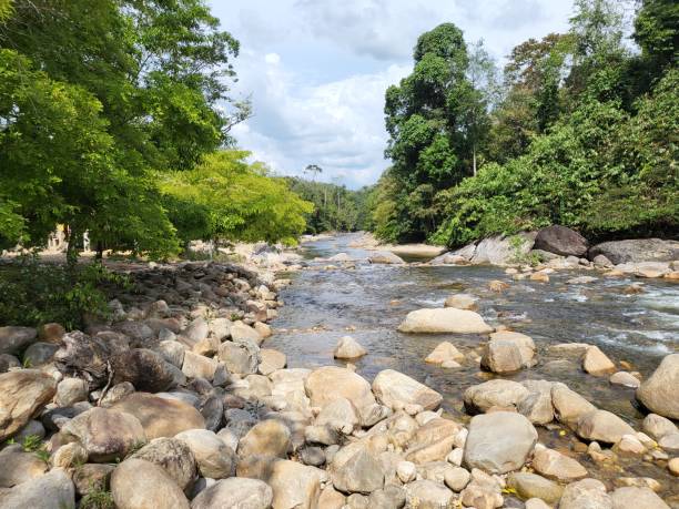 istock Refreshing river stream in Sungai Kenerong, Dabong. 1373299407