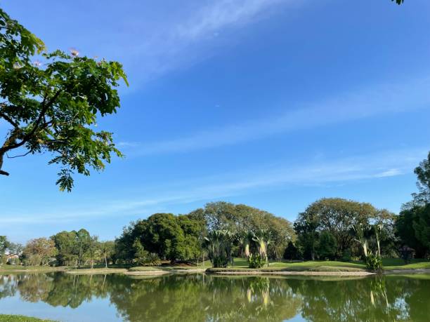 istock Taman Tasik Taiping 1373299808