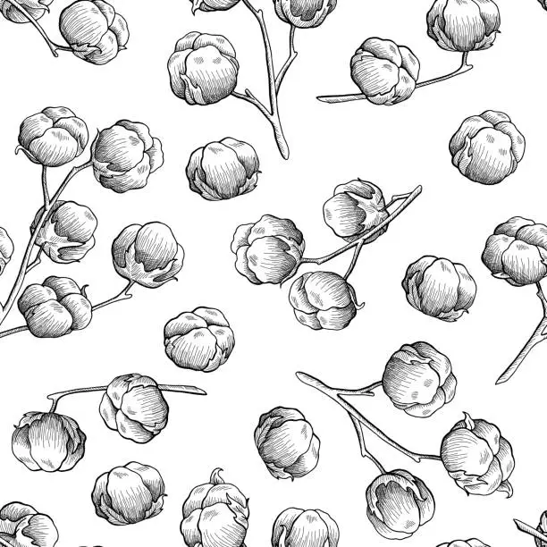 Vector illustration of Cotton plant graphic beige black white seamless pattern sketch illustration vector