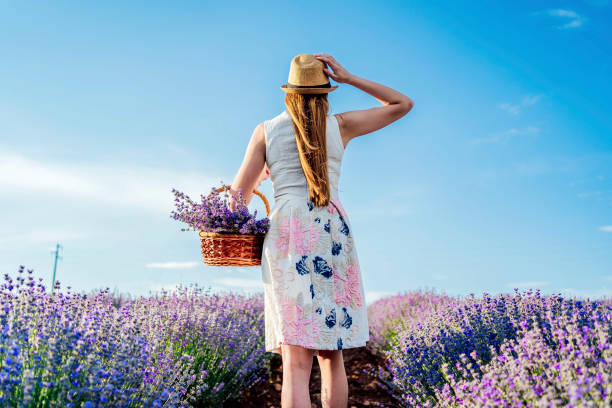 istock Beauty at the lavender field 1373303016