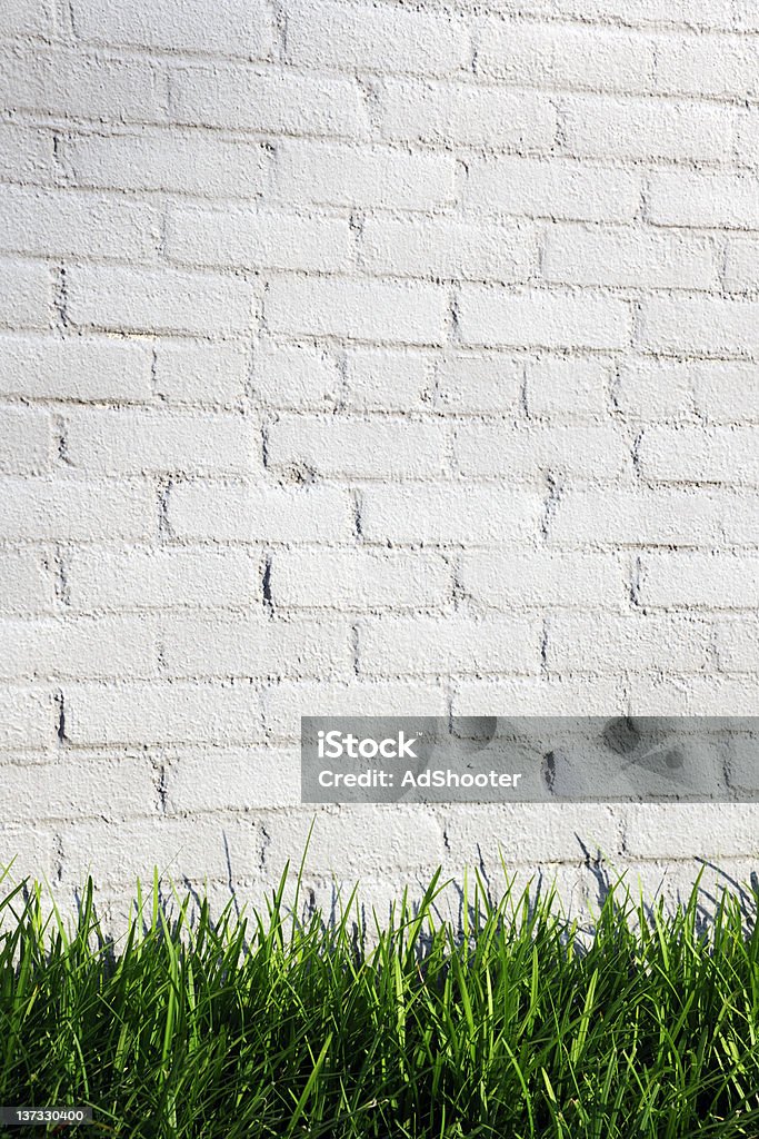 Wand und Gras - Lizenzfrei Bauwerk Stock-Foto