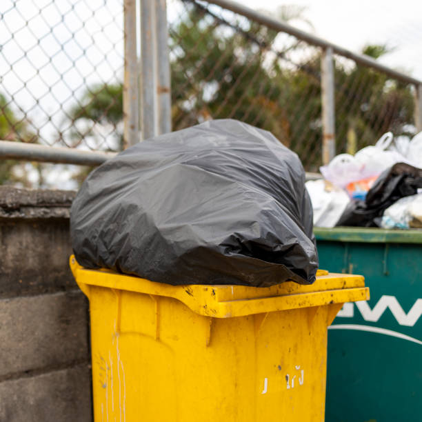 istock closeup yellow trash bin with soft-focus and overlight in the background 1373304299