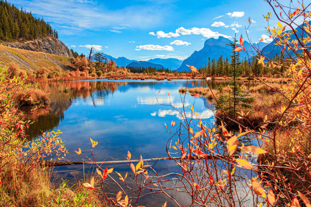 istock Red, yellow and orange foliage 1373306359