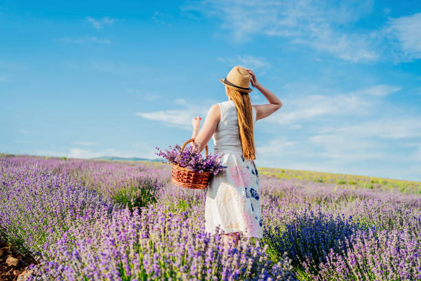 istock Beauty at the lavender field 1373306540