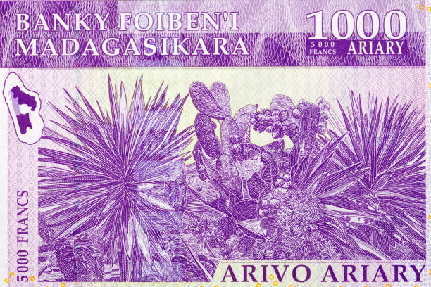 istock Cactus Sisal from old Malagasy money 1373307693