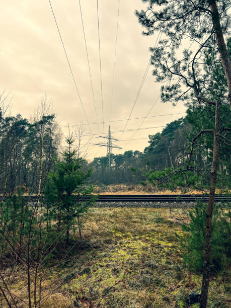istock View from the forest on railway tracks in winter. 1373309057
