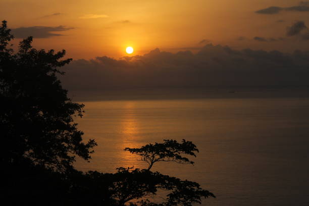 Out of Africa Sunset at Príncipe island with tree silhouette central africa stock pictures, royalty-free photos & images