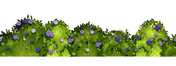 Photo of Garden bush vector seamless border, spring green hedge background, blooming shrub, flowers.