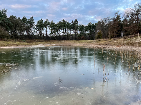 Lessinia Plateau Regional Natural Park in winter with a small frozen pond for cows and brown pastures, Corno d'Aquilio mountain, Sant'Anna d'Alfaedo, Verona Province, Veneto, Italy, Europe
