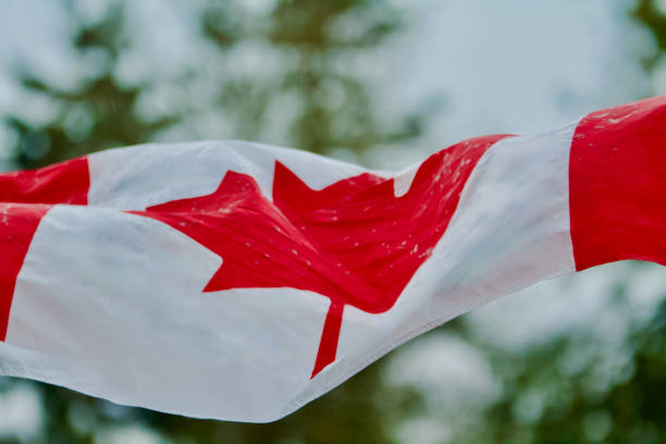 istock Canadian Flag Background 1373358588