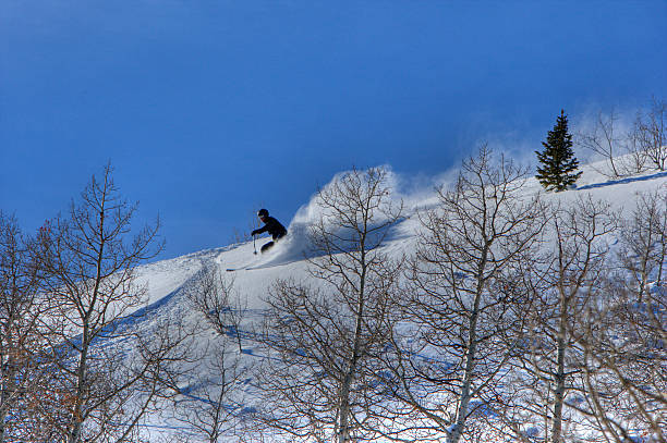 Skifahren im Pulverschnee – Foto