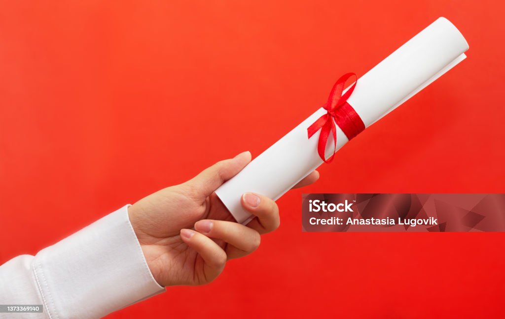 Woman hand hold diploma with red ribbon Dissertation Stock Photo
