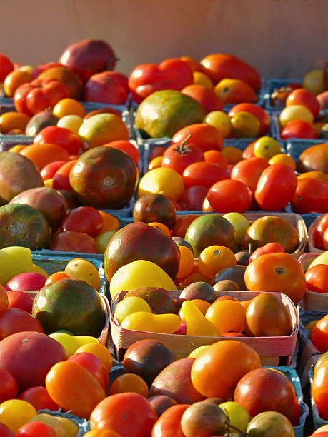 негибридный помидоры в корзины на рынке фермеров - green tomato black krim tomato cherry tomato tomato стоковые фото и изображения
