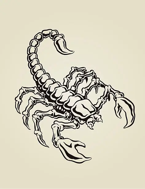 Vector illustration of Scorpion vector illustration
