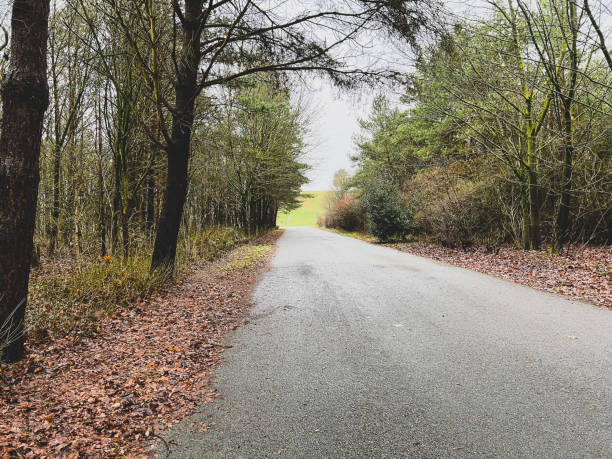 istock A road next to a forest in winter. 1373388677