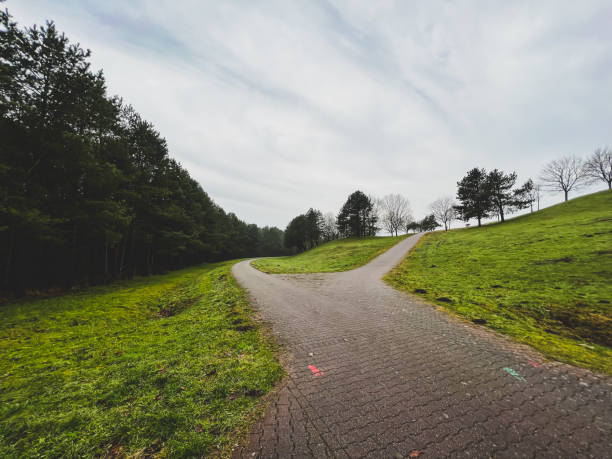 istock A path next to a forest and a meadow in winter in rainy weather. 1373389937