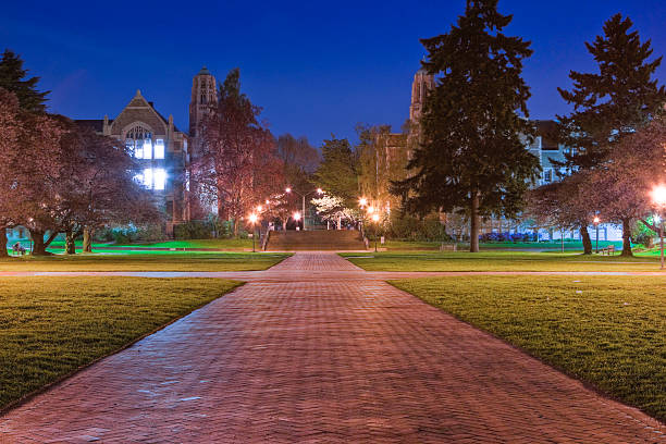 University of Washington Quad at Night stock photo
