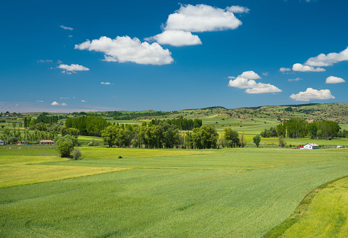 Crop fields and Turkish agricultural village in spring. Alaca town, Corum, Turkey